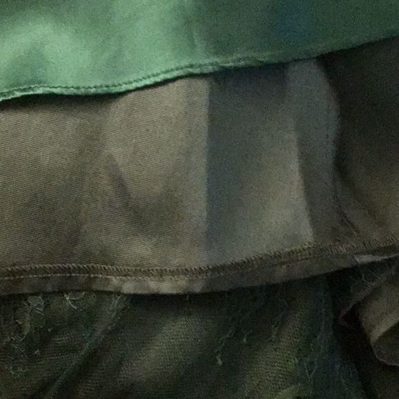 MONIDUE LHUILIER Dress Fit & Flare Emerald Lace Top Sleeveless MSRP 495 Size 20 - Picture 10 of 13